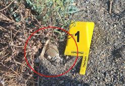 İznik Gölü sahilinde bulunan el bombası imha edildi