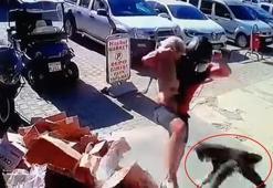 Kediyi tekmeleyen şüpheliye gözaltı