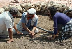 Çayönü Tepesi'nde 9 bin 500 yıllık 'kamusal yapı' gün yüzüne çıkarıldı