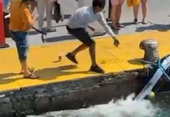 Nesli tükenme tehlikesi olan ‘mavi yelken balığı’nı zıpkınla vurdu; o anlar kamerada