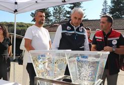 Havyarının kilosu bin avro olan mersin balığı, Bolu’da üretilip dünya pazarına sunulacak