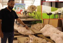 Kayseri’de bu yılki fosil kazılarında 7,7 milyon yıllık 3 fil kafatası bulundu