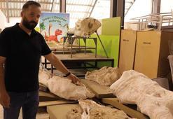 Kayseri’de bu yılki fosil kazılarında 7,7 milyon yıllık 3 fil kafatası bulundu