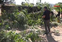 Seyir halinde fenalaşıp kaza yapan otobüsün şoförü öldü