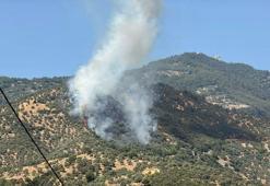 Aydın'da tarım arazisinde yangın kontrol altında
