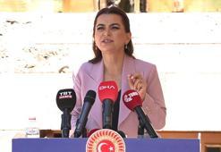 DEM Parti'li Koçyiğit: Komisyon bir an önce Ada'ya gitmeli