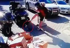 Kediyi tekmeledi tutuklandı
