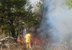 Denizli'de orman yangını, 2 saatte kontrol altına alındı