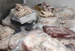 Ankara’da 11 bin 250 kilo kaçak et ve tavuk ürünü ele geçirildi