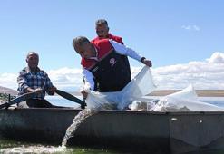 Kars’ta göl ve göletlere 500 bin yavru sazan bırakıldı