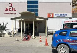 Ceviz toplamak için çıktığı ağaçtan düşüp öldü