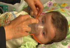 12 Bingölspor’un maç geliri, SMA’lı Efrayim bebeğe