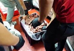 Bakanlık: Uygunsuzluk tespit edilen 1316 kilo ürün imha edildi