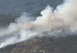 Balıkesir'de orman yangını