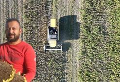 Rekoltenin yüzde 30 düştüğü Kayseri'de, ayçiçeği hasadı başladı