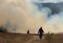 Fındık bahçesinde çıkan yangın, ormana sıçramadan kontrol altına alındı