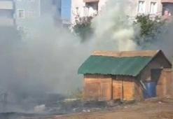 Silivri'de kümese sıçrayan yangında çok sayıda güvercin öldü