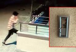 Avcılar'da apartman girişlerindeki diafonları çalıp kaçan şüpheli kamerada