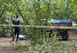 Traktörden düşüp teker ile ağaç arasına sıkışan sürücü öldü