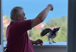 ‘Şakir’ ismini verdiği kargaya çocuğu gibi bakıyor
