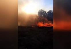 Bursa’daki orman yangını kontrol altında