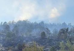 Karabük’teki orman yangını kontrol altında