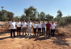 Milas’ta zeytin ağaçları taşınarak yaşatılıyor