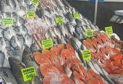 Ege'de balık bereketi; lüfer bile ağlara takıldı