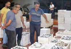 Akdeniz'de av yasağı kalktı; 1 kilo fiyatına 1 kasa balık
