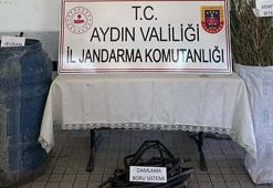 Ormanda Hint keneviri yetiştiren 5 şüpheliye gözaltı