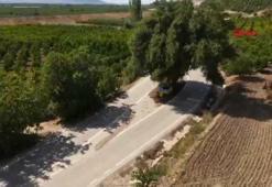 'Sıtma Dede'nin mezarı yolun ortasında kaldı