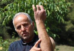 Babası gibi ayı saldırısına uğradı; parmağı koptu