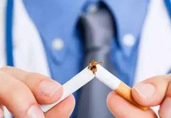 Doç. Dr. Turgut: Sperm sayısındaki düşüşte en büyük faktör sigara kullanımı