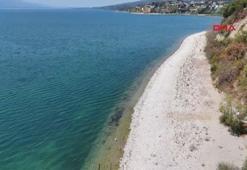 Doç. Dr. Yiğit: Sapanca Gölü'nde en radikal tedbirlerin bir an önce alınması gerekiyor