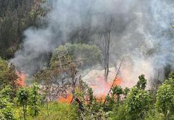 Artvin'de 3 katlı ev yangında küle döndü