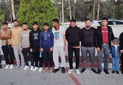 Edirne'de 12 kaçak göçmen yakalandı; 1 gözaltı