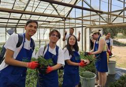 Gençlere 'dijital detoks'