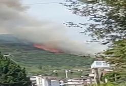 Kocaeli'deki orman yangını kontrol altında