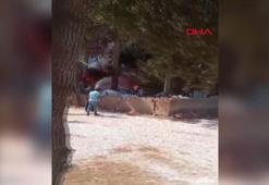 Her şeyini kaybettiği yangına müdahale eden itfaiye erlerine su taşıdı