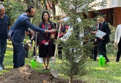 Japonya Prensesi Akiko Mikasa'ya 'fahri doktora' verildi