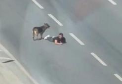 Samsun’da bir kişi, ana yolun sağ şeridinde sürünerek ilerledi; o anlar kamerada