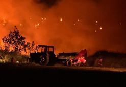 Edirne’de buğday tarlasındaki yangın, ormana sıçramadan söndürüldü