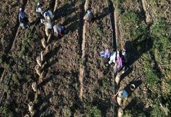 Kayseri'de hasat edilen patatesler yurt dışına ihraç ediliyor