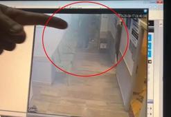 Aile hekimini darbeden hasta yakını tutuklandı; olay kamerada