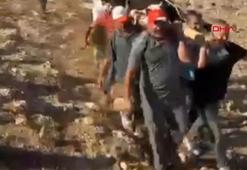 Ayağı kırılan 500 kiloluk ineği, sedyeyle 2 kilometre taşıdılar