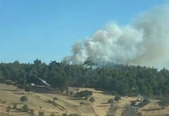 Çanakkale'de orman yangını