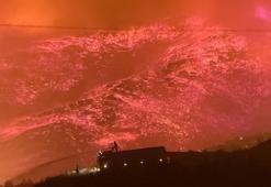 Antalya'da orman yangını