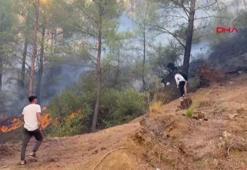 Köyceğiz'deki orman yangınını söndürme çalışmaları sürüyor