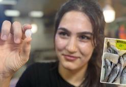 Balık 650, başındaki taş 10 bin lira