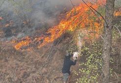 Muğla Köyceğiz'deki orman yangınında 108 ev boşaltıldı, 357 kişi tahliye edildi